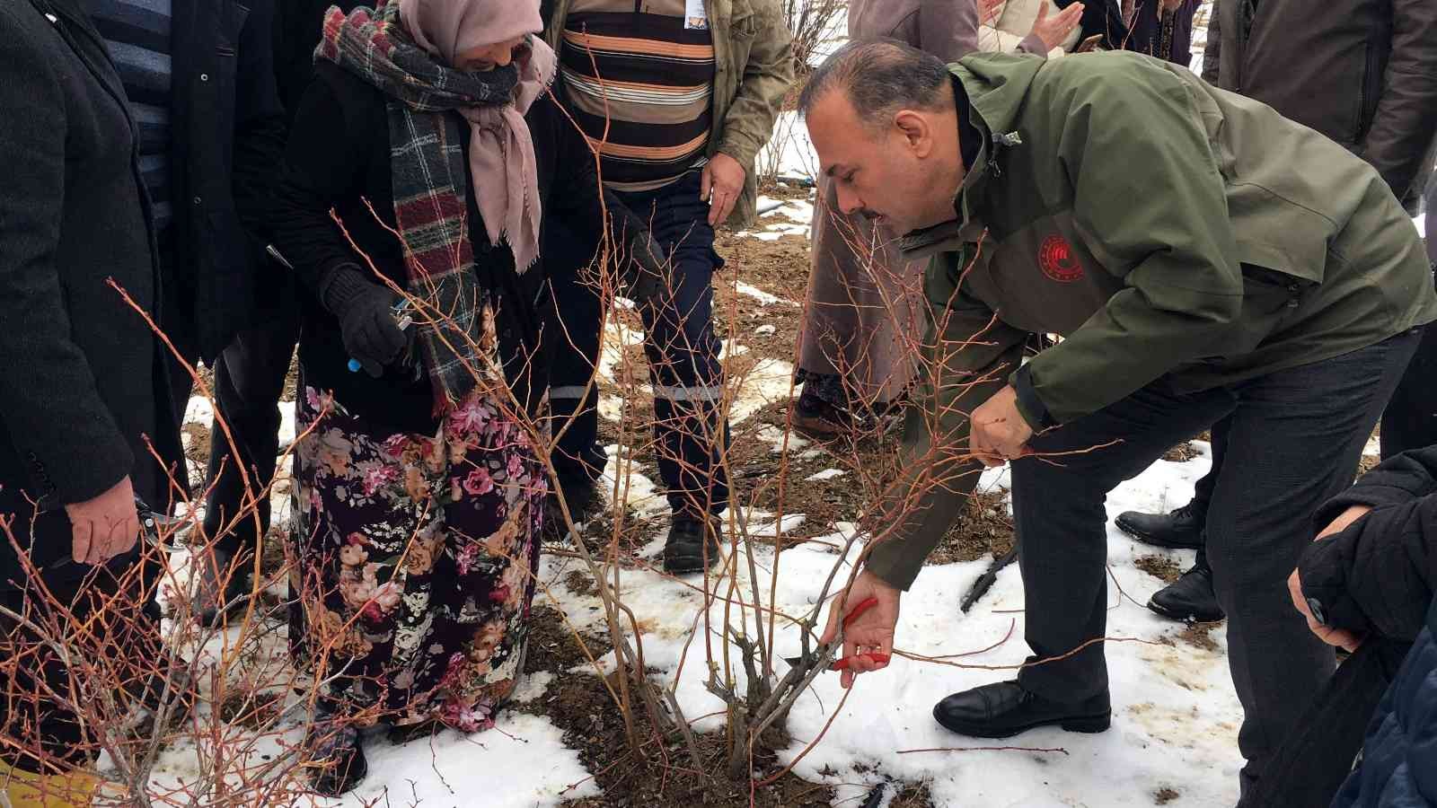 Bursa’nın Orhaneli ilçesinde çiftçilere yaban mersini budama ve gübreleme eğitimi yapıldı. Göynükbelen’deki eğitime Bursa İl Tarım ve Orman ...