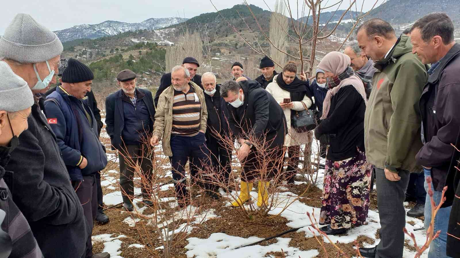 Bursa’nın Orhaneli ilçesinde çiftçilere yaban mersini budama ve gübreleme eğitimi yapıldı. Göynükbelen’deki eğitime Bursa İl Tarım ve Orman ...