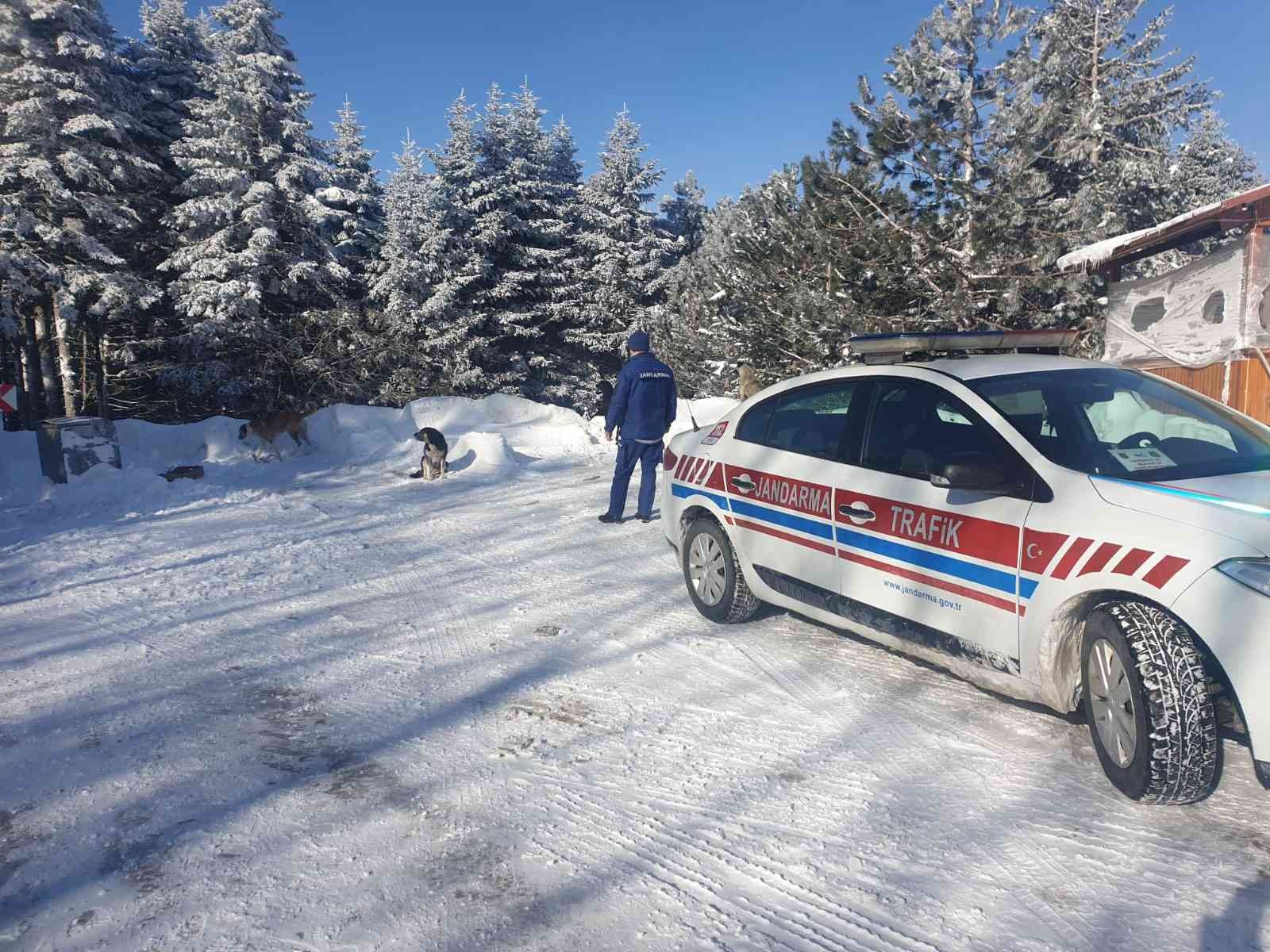 Jandarma ekipleri, kar kalınlığının 2 metreyi aştığı kış turizminin önemli merkezlerinden Uludağ’da aç kalan köpekleri elleriyle besledi. Uludağ ...