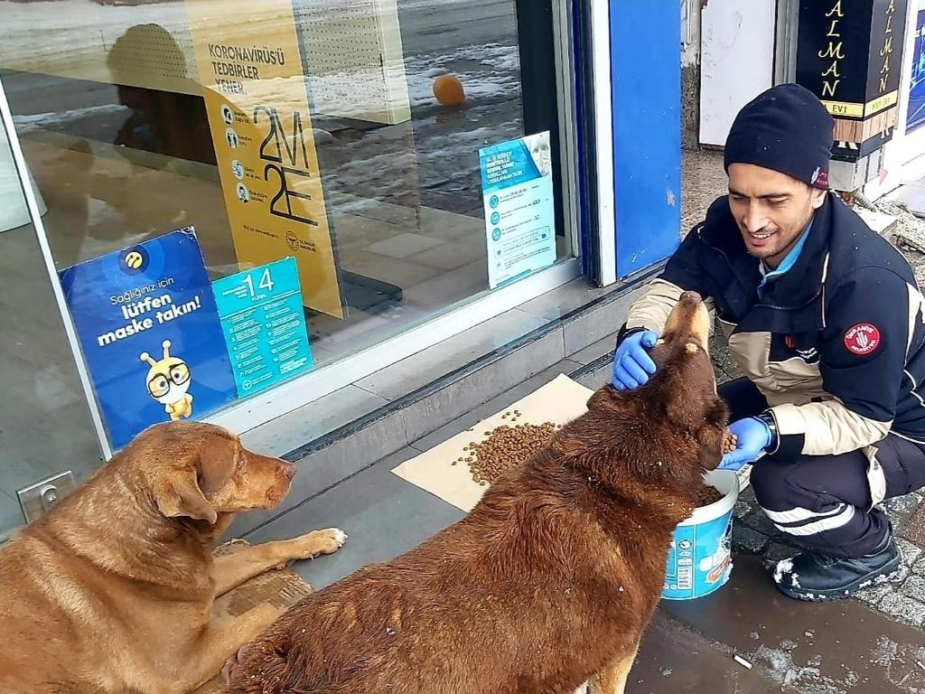 Ümraniye Belediyesi, soğuk hava ve kar yağışının bastırmasıyla yardıma muhtaç ihtiyaç sahiplerine hasta nakil hizmetlerini hız kesmeden ...