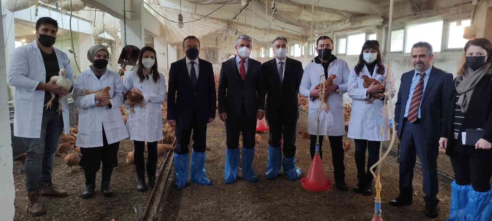 Bursa Uludağ Üniversitesi Hastavuk’la işbirliği yaparak köy tavuğu üretimine başladı. Dünya’da tavuk eti tüketimi bakımından 10’uncu sırada olan ...