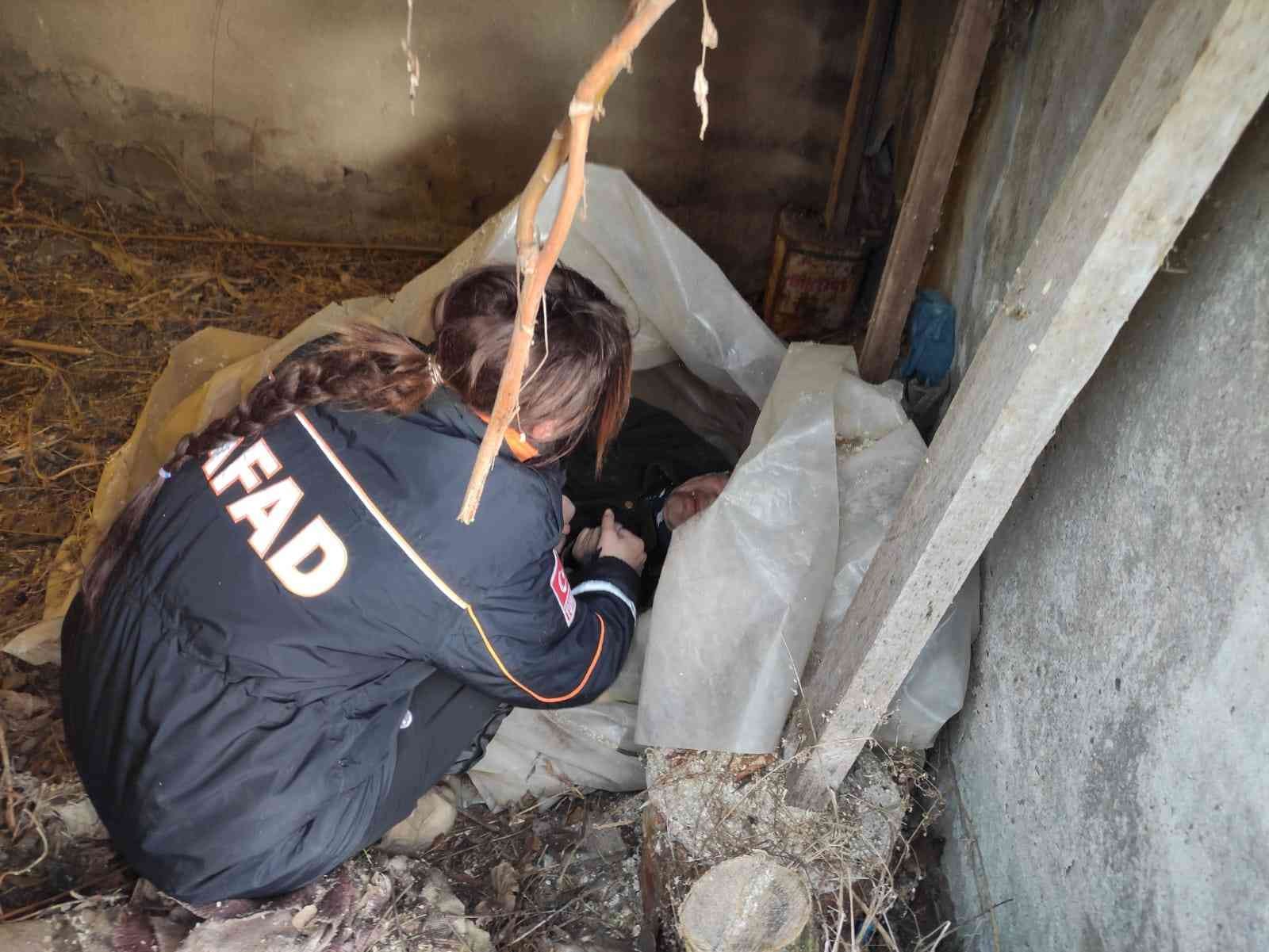 Edirne’nin Havsa ilçesinde kaybolan yaşlı kadın, donmak üzereyken AFAD ve jandarma ekipleri tarafından donmak üzereyken bulundu. AFAD personeli ...