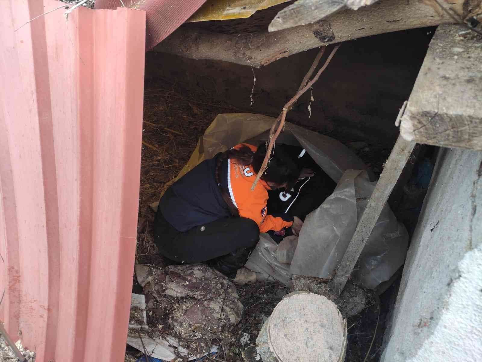 Edirne’nin Havsa ilçesinde kaybolan yaşlı kadın, donmak üzereyken AFAD ve jandarma ekipleri tarafından donmak üzereyken bulundu. AFAD personeli ...