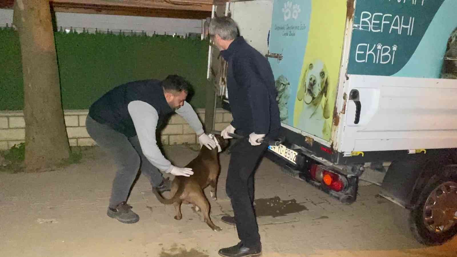 Kocaeli’nin Darıca ilçesinde alkollü bir şahıs, tartıştığı eşini göğsünden bıçaklayarak ağır yaraladı. Olay, Kocaeli’nin Darıca ilçesi Bayramoğlu ...