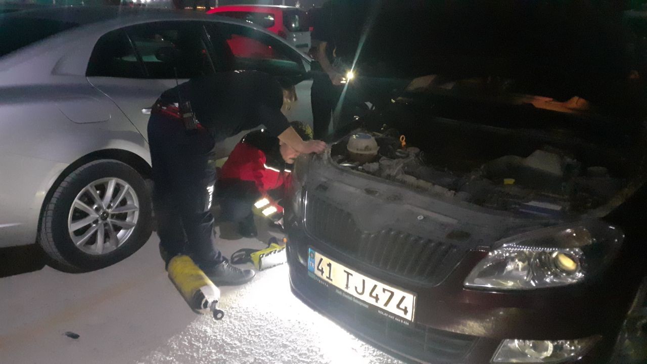 Kocaeli’nin Darıca ilçesinde, otomobilin motor kısmına sıkışan yavru kedi, İtfaiye tarafından kurtarıldı. Olay, Kocaeli’nin Darıca ilçesi ...