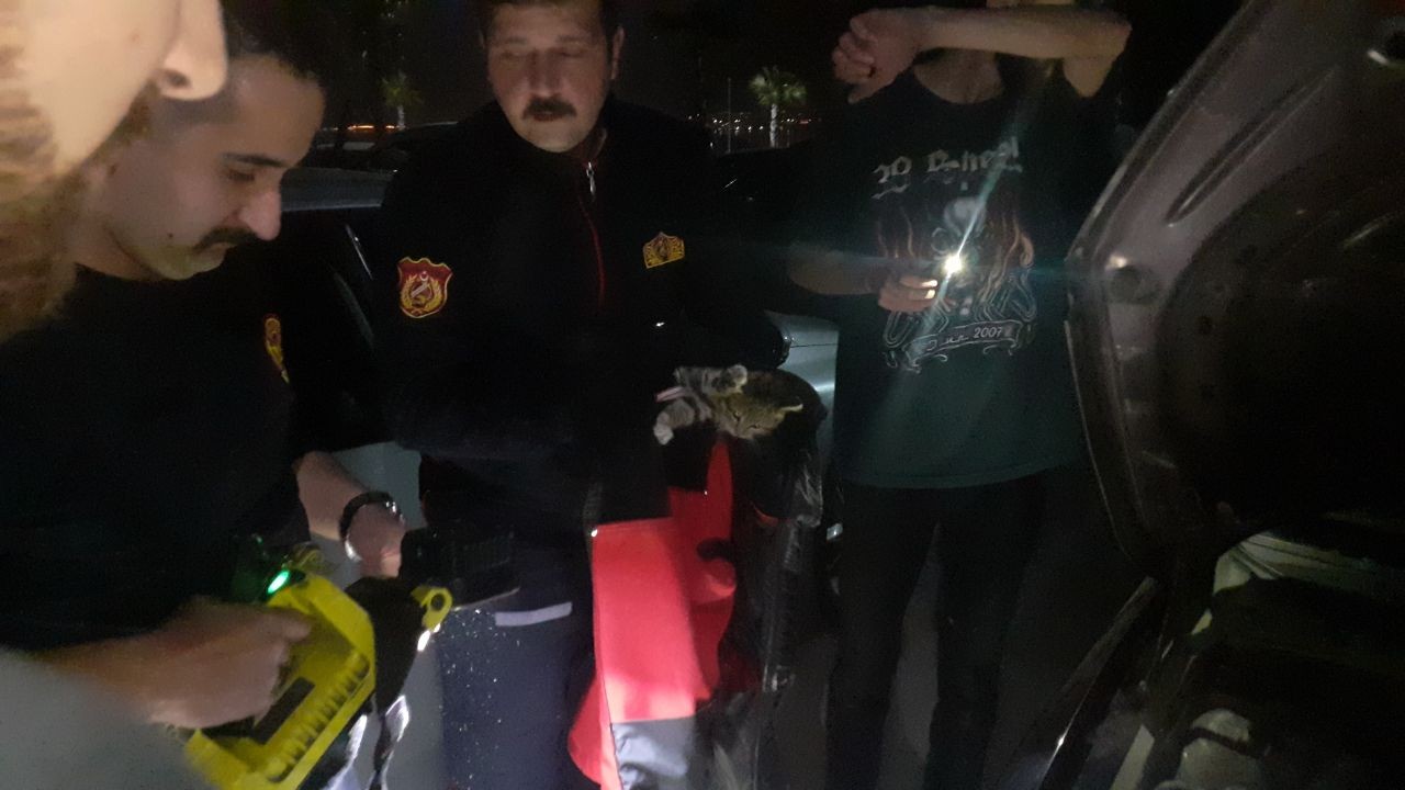 Kocaeli’nin Darıca ilçesinde, otomobilin motor kısmına sıkışan yavru kedi, İtfaiye tarafından kurtarıldı. Olay, Kocaeli’nin Darıca ilçesi ...