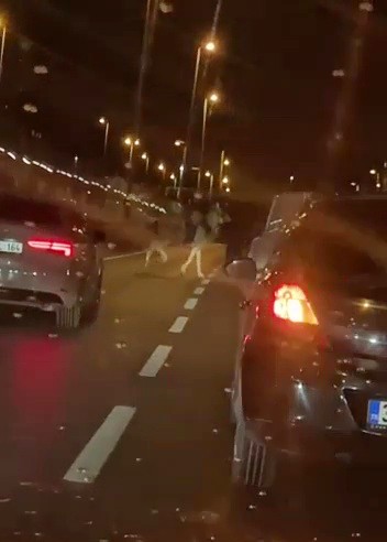 Avcılar’da gece saatlerinde bir vatandaş, E-5 Karayolu üzerinde at sürerek gezdi. Görenleri şaşkına çeviren olayda trafikte aksama yaşanırken, o ...