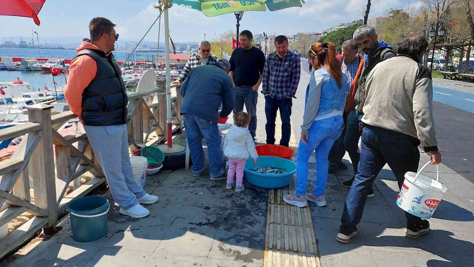 Balık avcılığında 15 Nisan itibariyle avlanma yasaklarının başlamasıyla, olta balıkçıları oltalarını denize salladı. Oltalara takılan istavritler ...