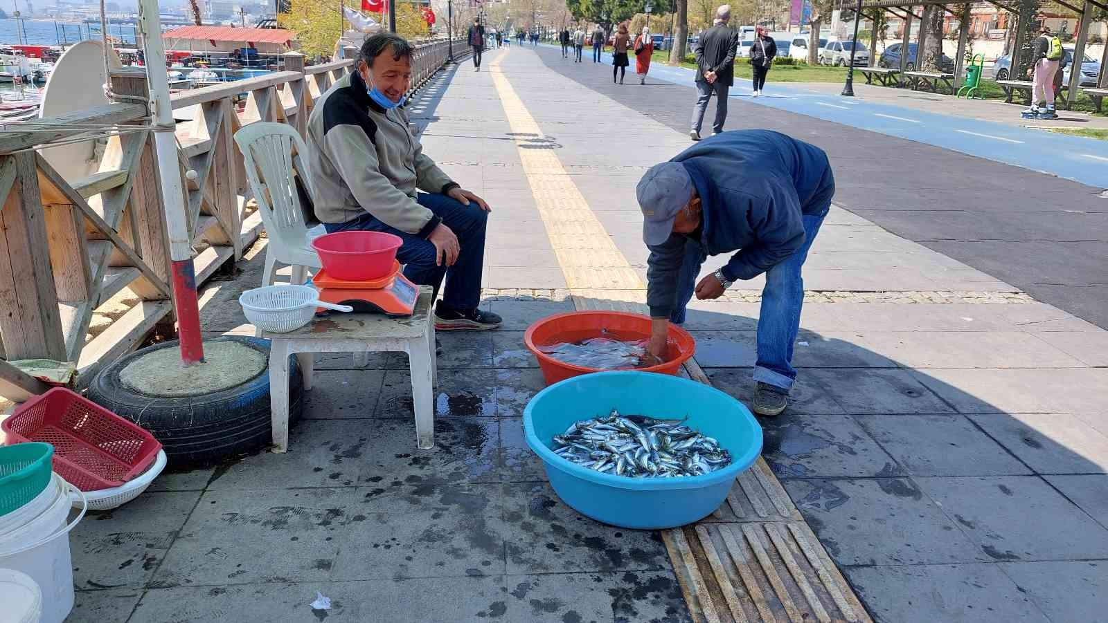 Balık avcılığında 15 Nisan itibariyle avlanma yasaklarının başlamasıyla, olta balıkçıları oltalarını denize salladı. Oltalara takılan istavritler ...