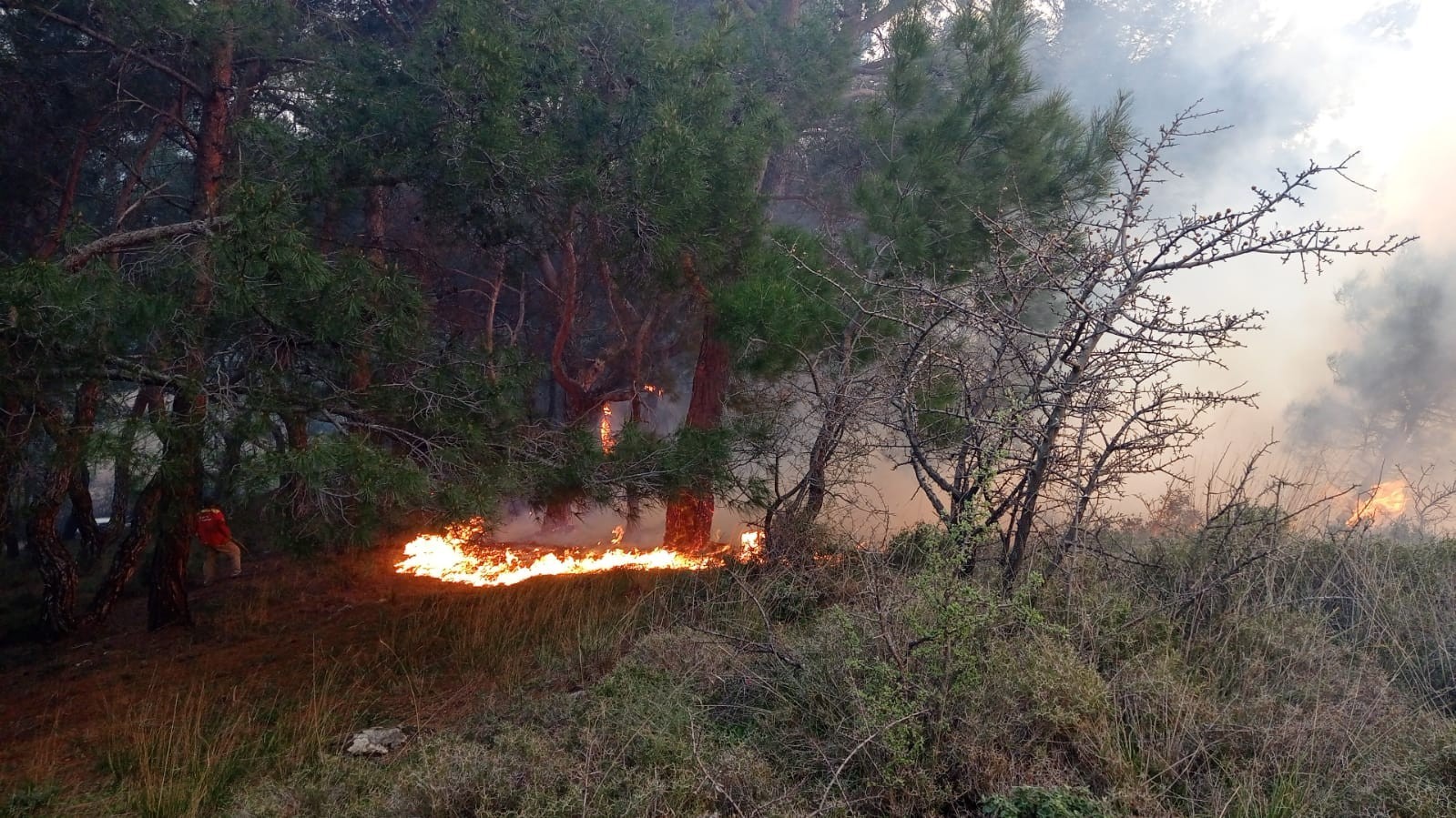 Balıkesir’in Burhaniye ve Ayvalık ilçelerinde 3 farklı noktasında çıkan orman yangınları sabahın ilk ışıkları ile söndürüldü. Dün akşam ...