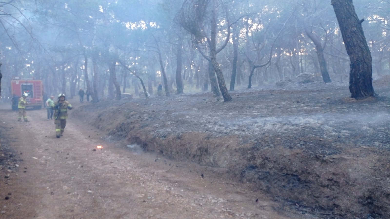 Balıkesir’in Burhaniye ve Ayvalık ilçelerinde 3 farklı noktasında çıkan orman yangınları sabahın ilk ışıkları ile söndürüldü. Dün akşam ...