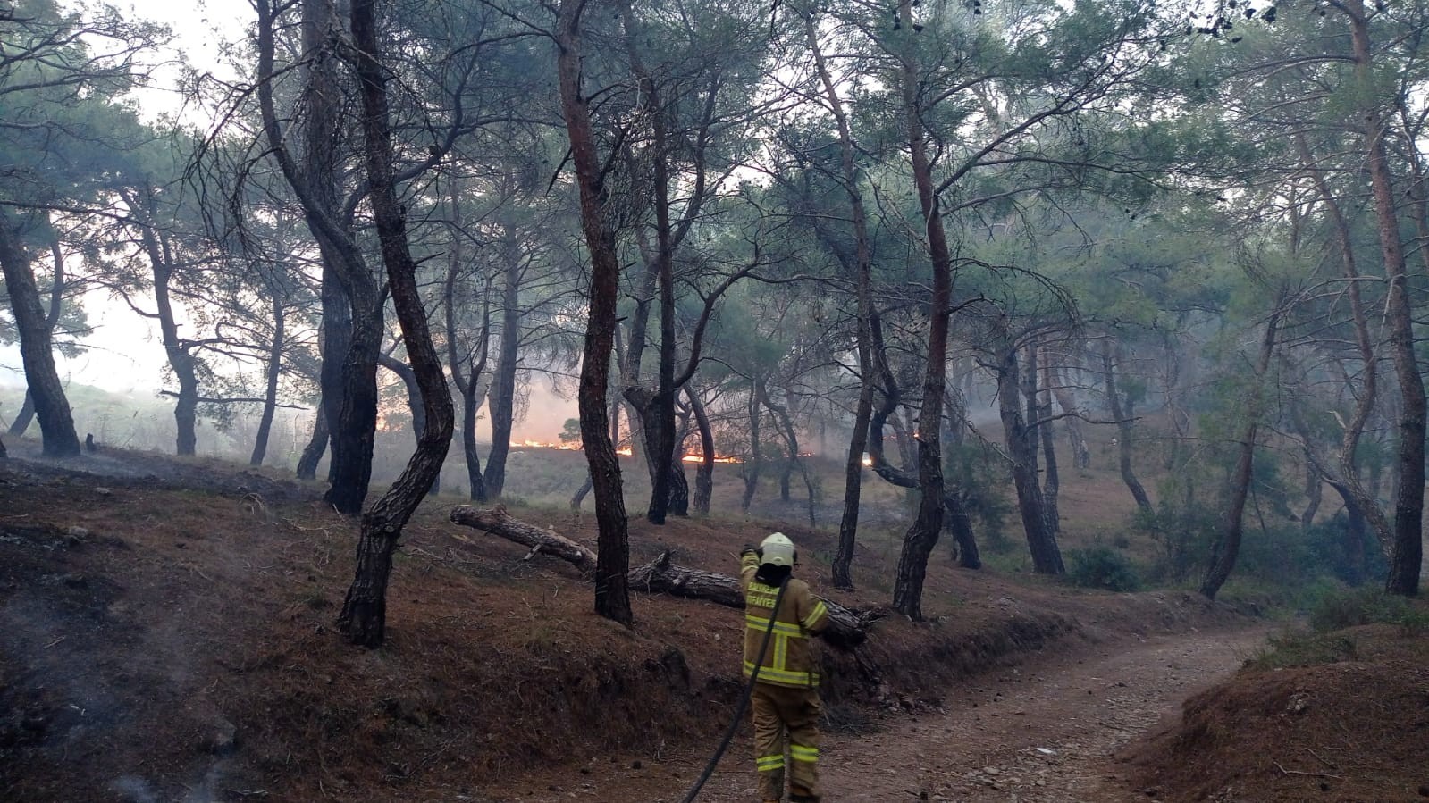 Balıkesir’in Burhaniye ve Ayvalık ilçelerinde 3 farklı noktasında çıkan orman yangınları sabahın ilk ışıkları ile söndürüldü. Dün akşam ...