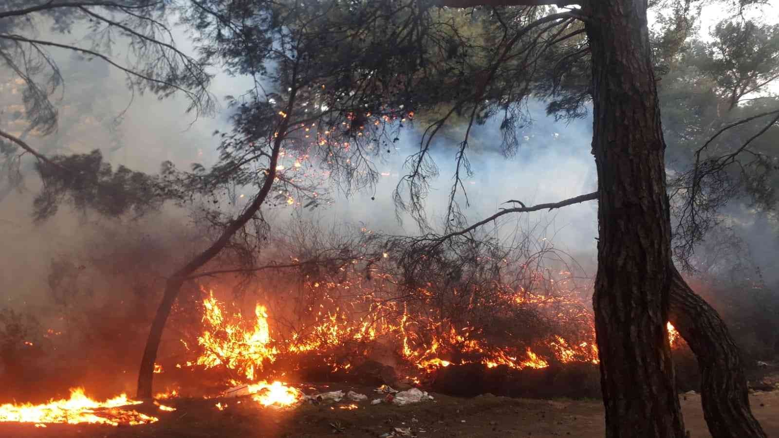 Balıkesir’in Burhaniye ilçesinde çıkan orman yangını ekiplerin hızlı müdahalesi ile kısa sürede söndürüldü. Edinilen bilgiye göre, Burhaniye ...