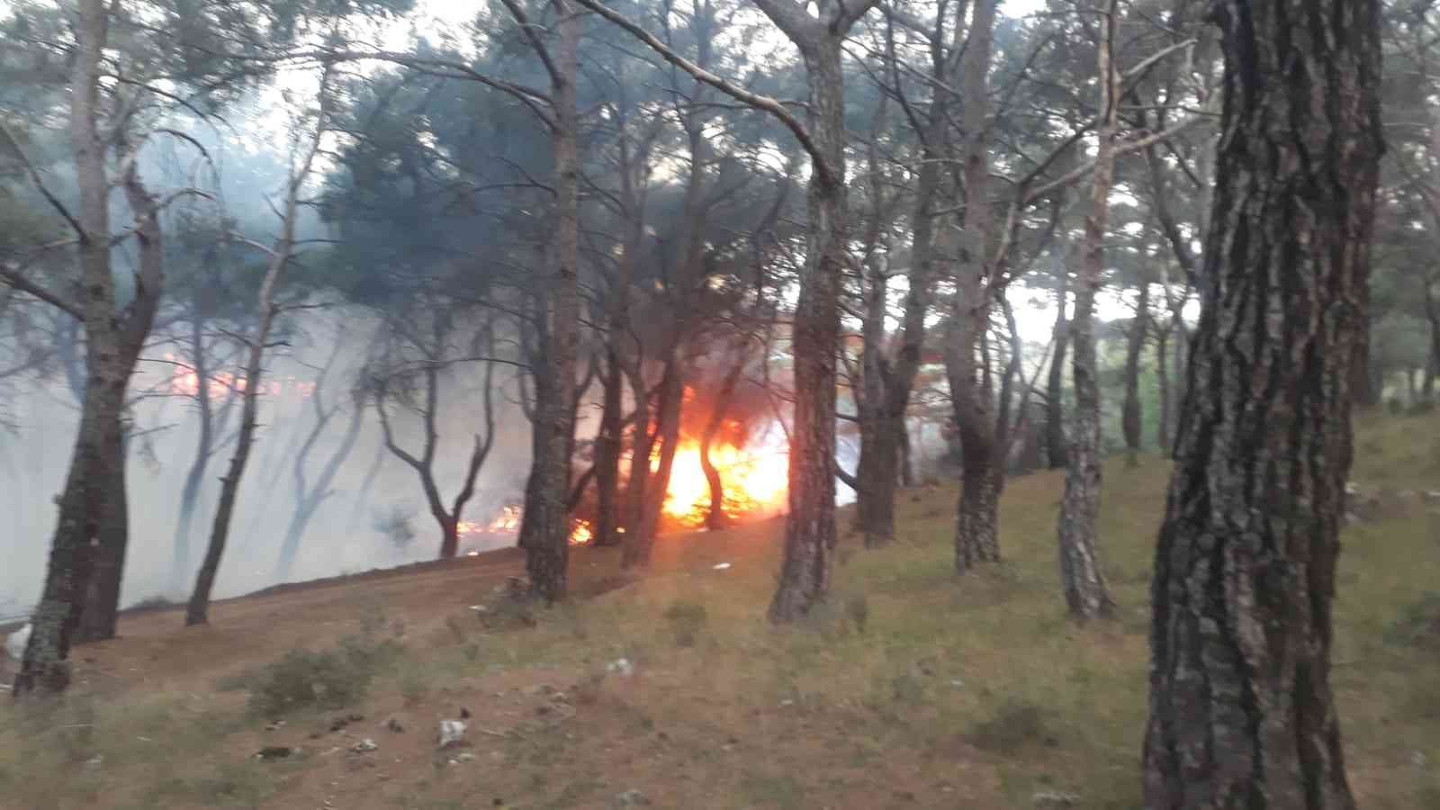 Balıkesir’in Burhaniye ilçesinde çıkan orman yangını ekiplerin hızlı müdahalesi ile kısa sürede söndürüldü. Edinilen bilgiye göre, Burhaniye ...