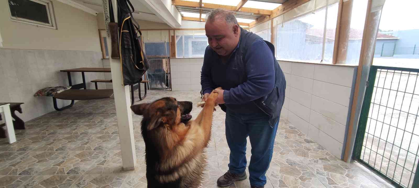 Bursa’da hizmet veren köpek otelleri bayram öncesi doldu. Bayramda tatile çıkacak köpek sahipleri, köpeklerini güvenilir bir yere bırakmak için ...