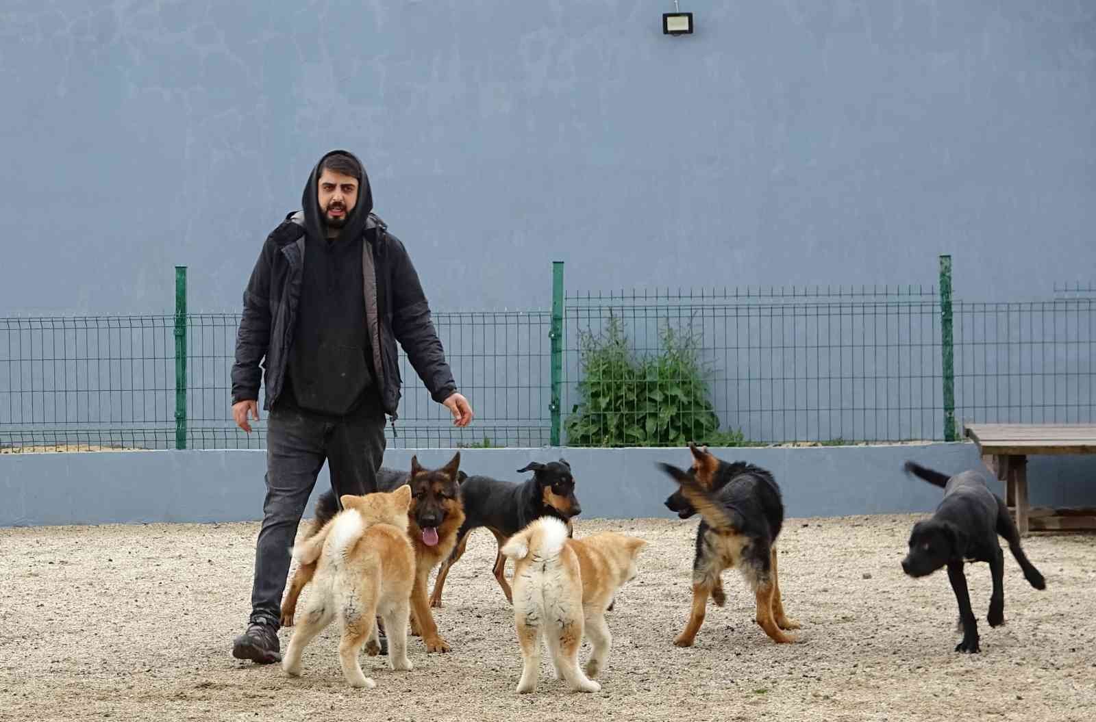 Bursa’da hizmet veren köpek otelleri bayram öncesi doldu. Bayramda tatile çıkacak köpek sahipleri, köpeklerini güvenilir bir yere bırakmak için ...