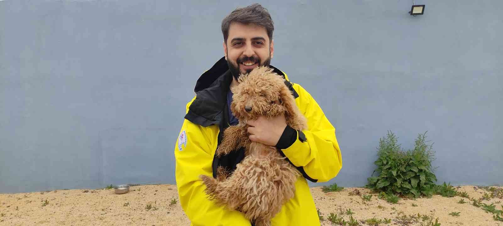 Bursa’da hizmet veren köpek otelleri bayram öncesi doldu. Bayramda tatile çıkacak köpek sahipleri, köpeklerini güvenilir bir yere bırakmak için ...