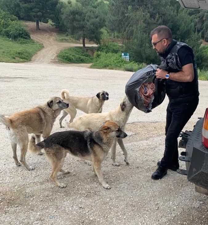 Bursa Veteriner Hekimler Odası Yönetim Kurulu Üyesi Melike Baysal, Bursa’da 200 binden fazla sokakta yaşayan hayvan olduğunu açıkladı Melike ...