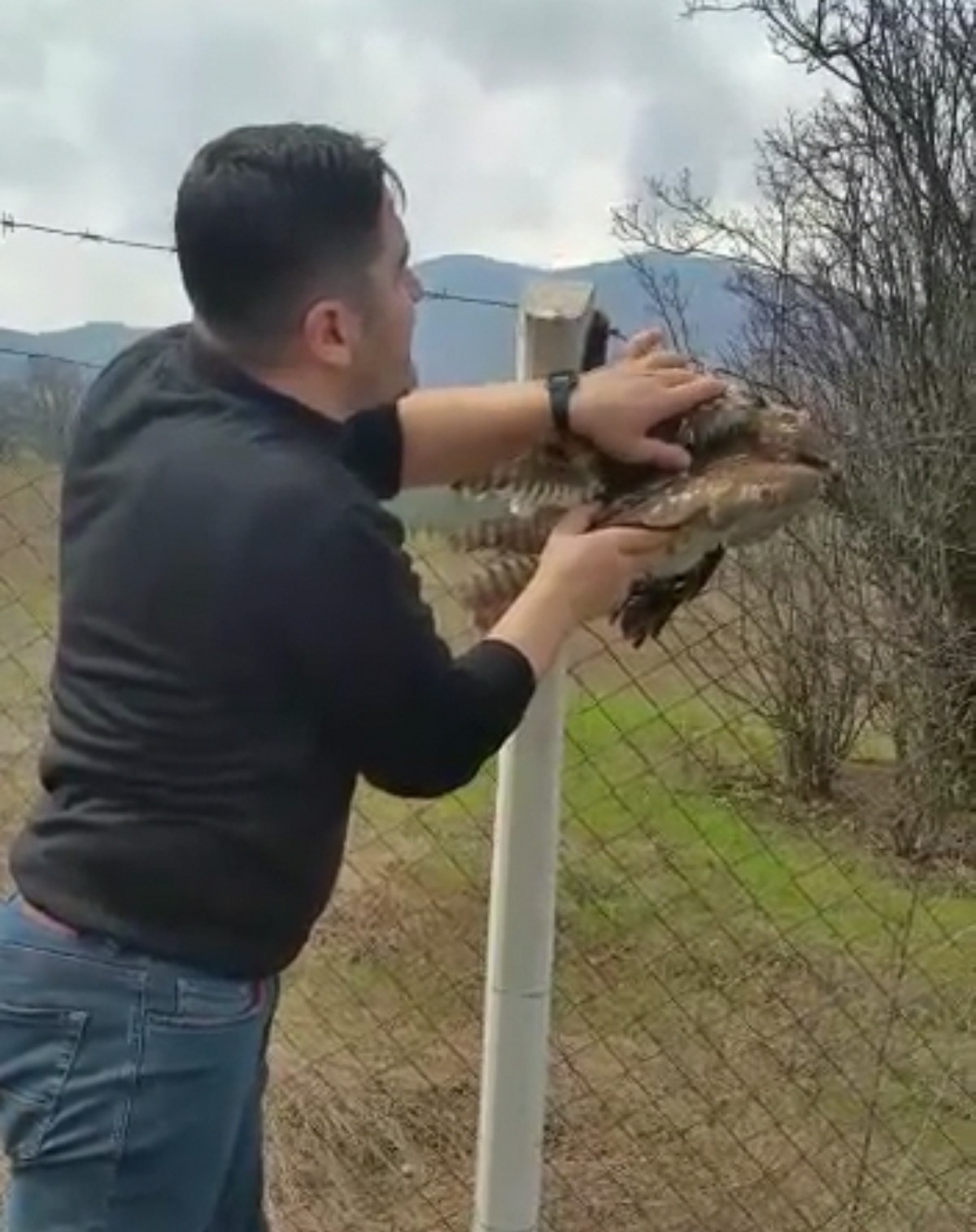 Bursa’nın İnegöl ilçesinde koruma tellerine takılarak mahsur kalan şahin, vatandaşların dikkati üzerine kurtarıldı. Olay Yeniceköy Göleti ...