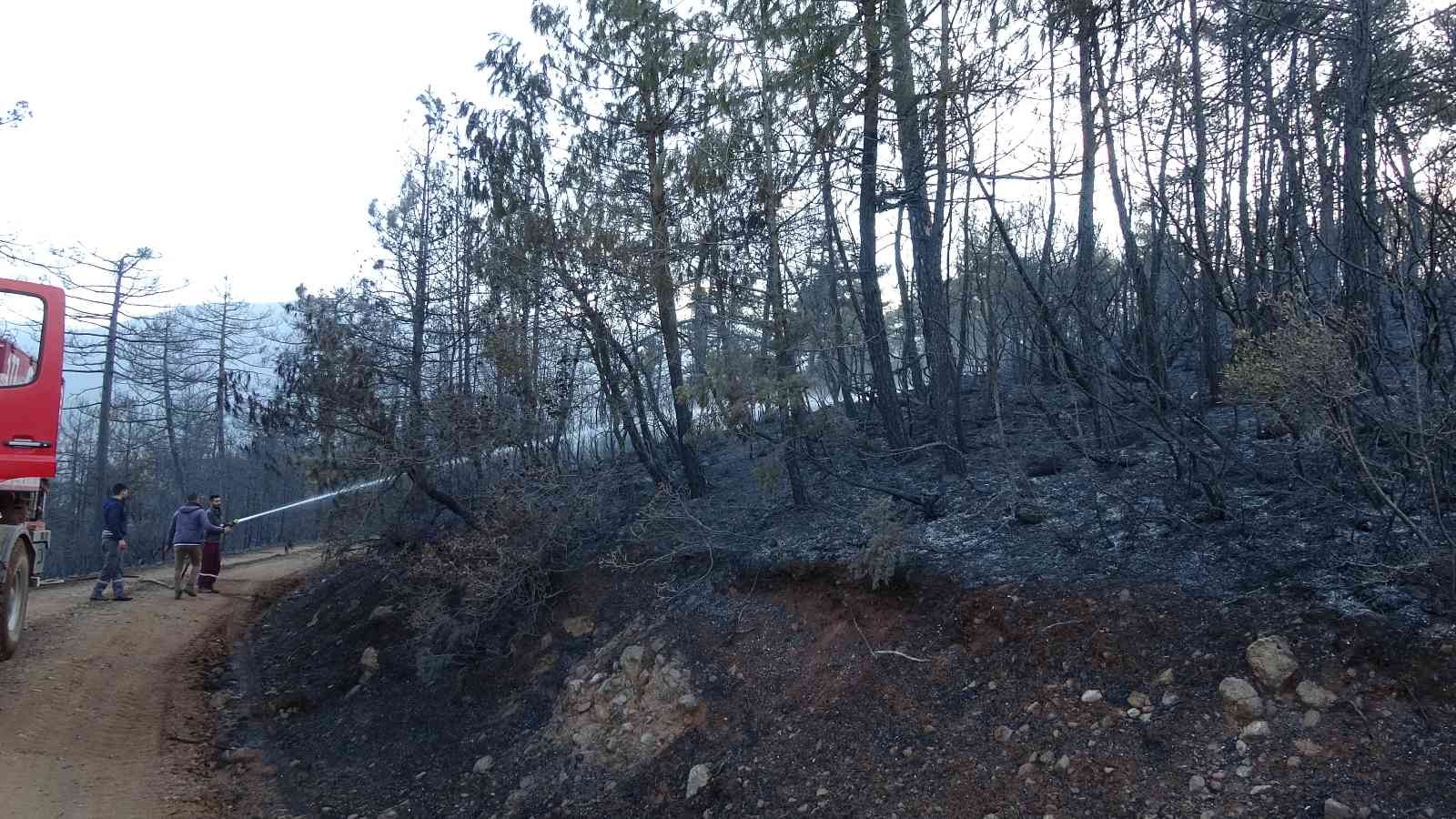 Bursa’da ormanlık alanda başlayan yangın rüzgarın etkisiyle kısa sürede büyüdü. Yaklaşık 60 hektarlık ormanlık alan yanarak küle döndü. Ekiplerin ...