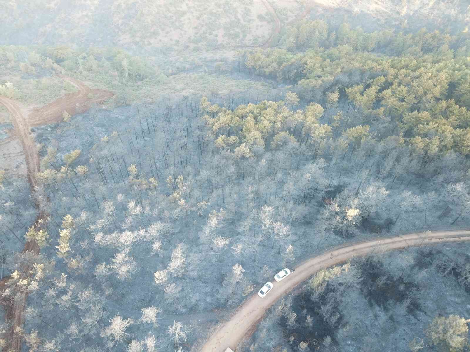 Bursa’da ormanlık alanda başlayan yangın rüzgarın etkisiyle kısa sürede büyüdü. Yaklaşık 60 hektarlık ormanlık alan yanarak küle döndü. Ekiplerin ...