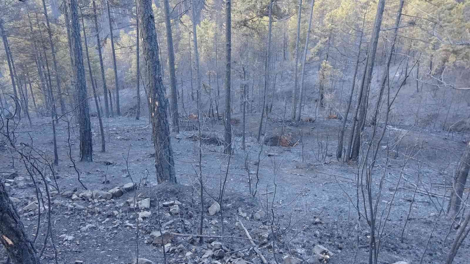 Bursa’da ormanlık alanda başlayan yangın rüzgarın etkisiyle kısa sürede büyüdü. Yaklaşık 60 hektarlık ormanlık alan yanarak küle döndü. Ekiplerin ...