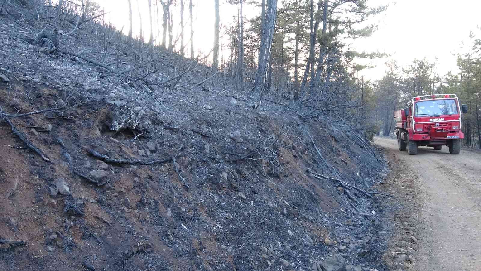 Bursa’da ormanlık alanda başlayan yangın rüzgarın etkisiyle kısa sürede büyüdü. Yaklaşık 60 hektarlık ormanlık alan yanarak küle döndü. Ekiplerin ...