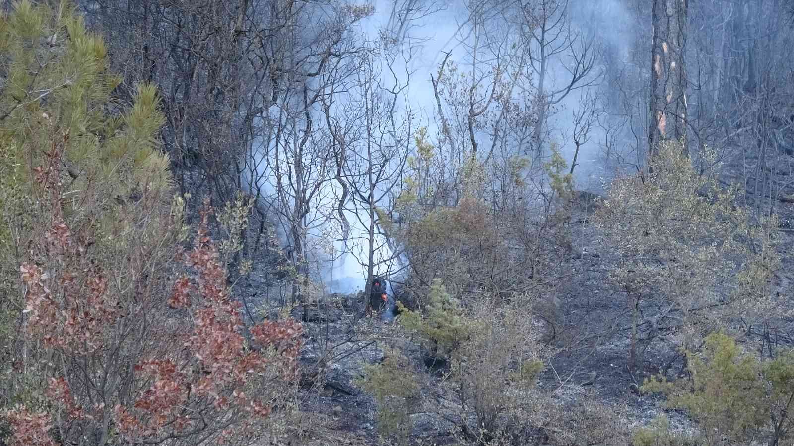 Bursa’da ormanlık alanda başlayan yangın rüzgarın etkisiyle kısa sürede büyüdü. Yaklaşık 60 hektarlık ormanlık alan yanarak küle döndü. Ekiplerin ...