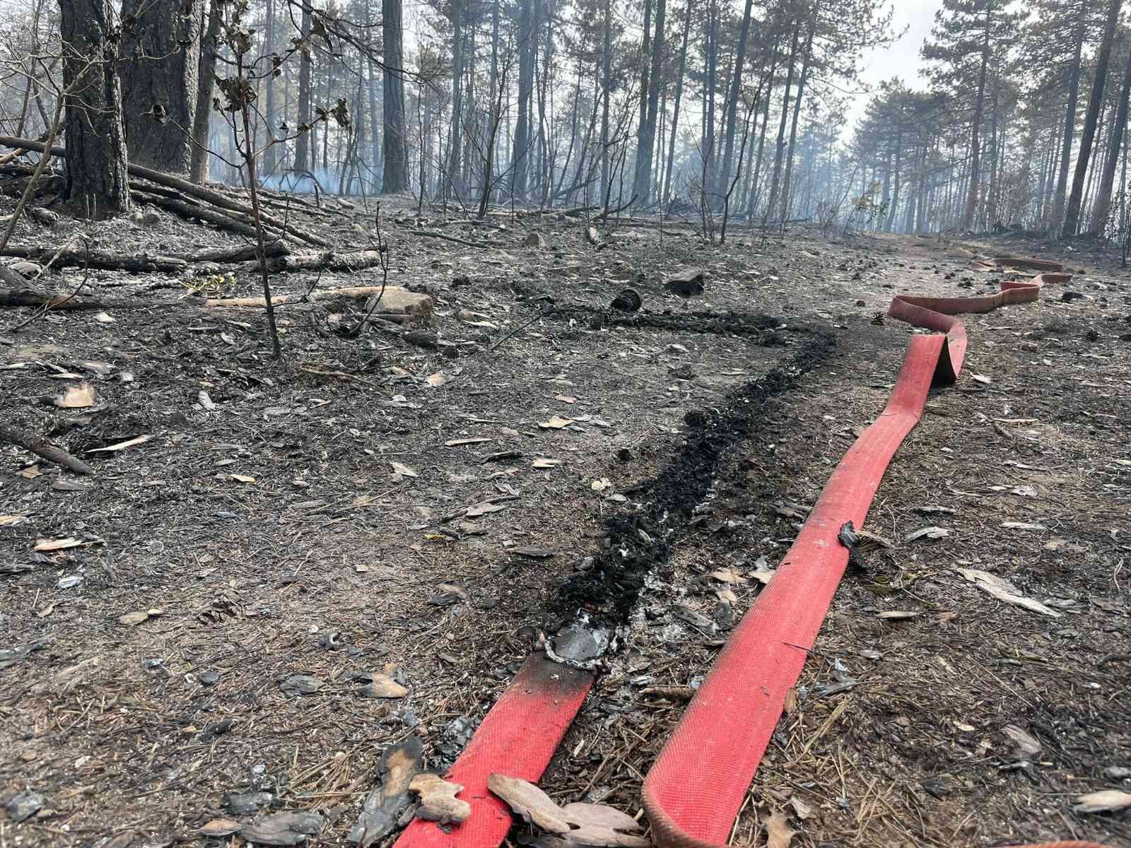 Bursa’da 2 saat önce başlayan orman yangını kısmen kontrol altına alındı. Ekipler çalışmalarını sürdürüyor. Osmangazi ilçesine bağlı Karaıslah ...