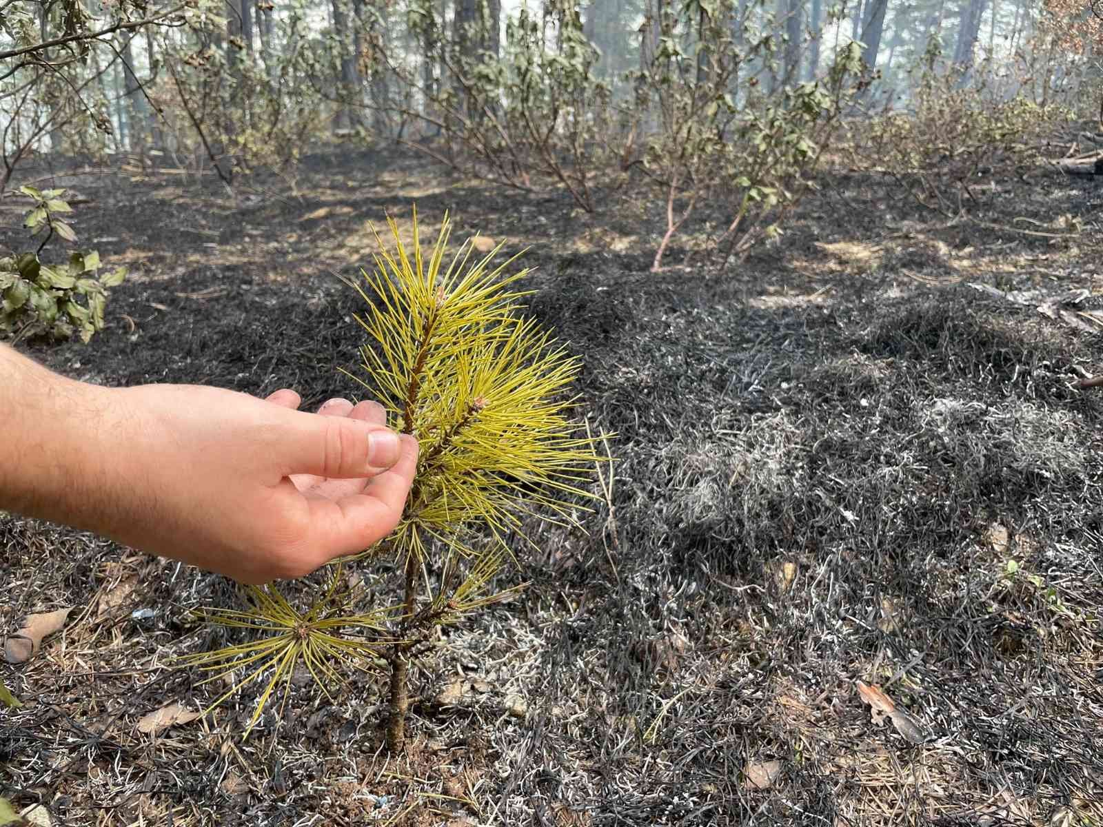 Bursa’da 2 saat önce başlayan orman yangını kısmen kontrol altına alındı. Ekipler çalışmalarını sürdürüyor. Osmangazi ilçesine bağlı Karaıslah ...