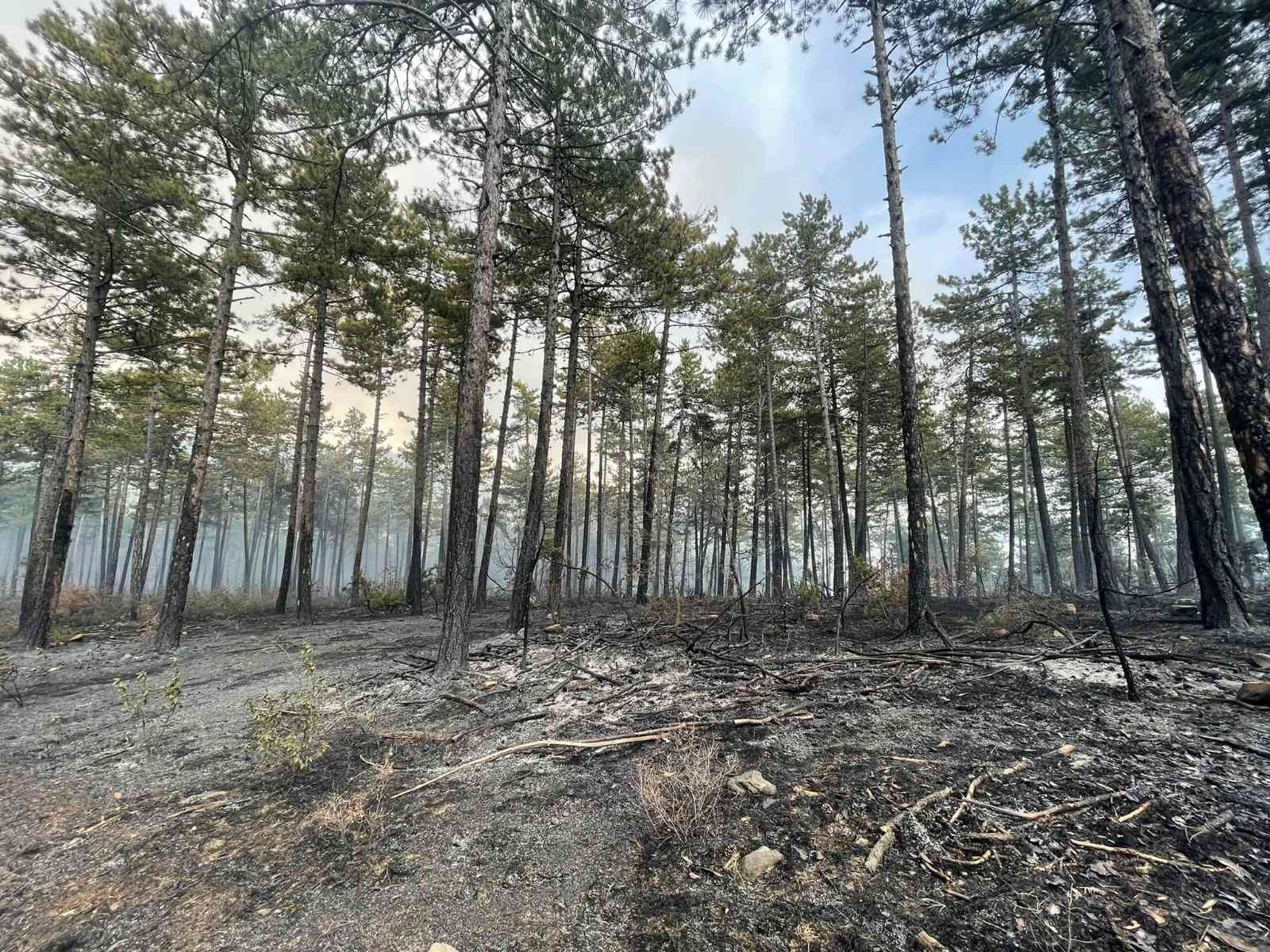 Bursa’da 2 saat önce başlayan orman yangını kısmen kontrol altına alındı. Ekipler çalışmalarını sürdürüyor. Osmangazi ilçesine bağlı Karaıslah ...