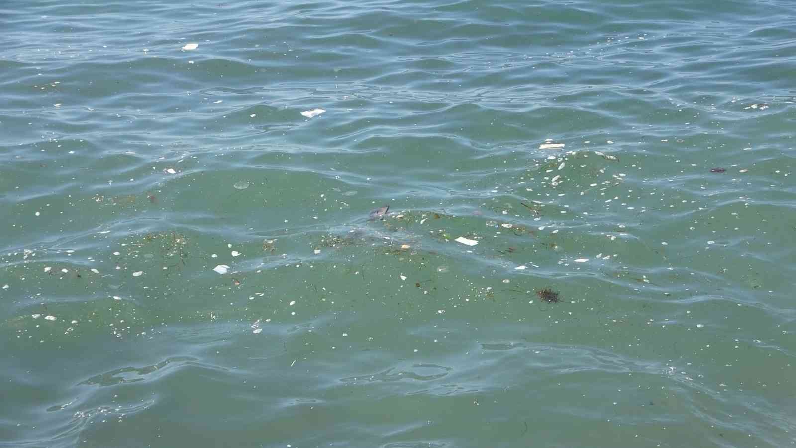 İstanbul’da etkili olan sağanak yağış sonrası Caddebostan sahiline vuran atıklar ve kirlilik havadan görüntülendi. Kadıköy Caddebostan sahilinde ...