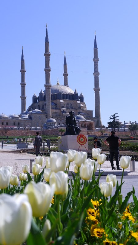 Selimiye Meydanı düzenlenme çalışmaları çerçevesinde 6 ay önce yerinden kaldırılan Mimar Sinan heykeli, çalışmalarda sona gelinmesinin ardından ...