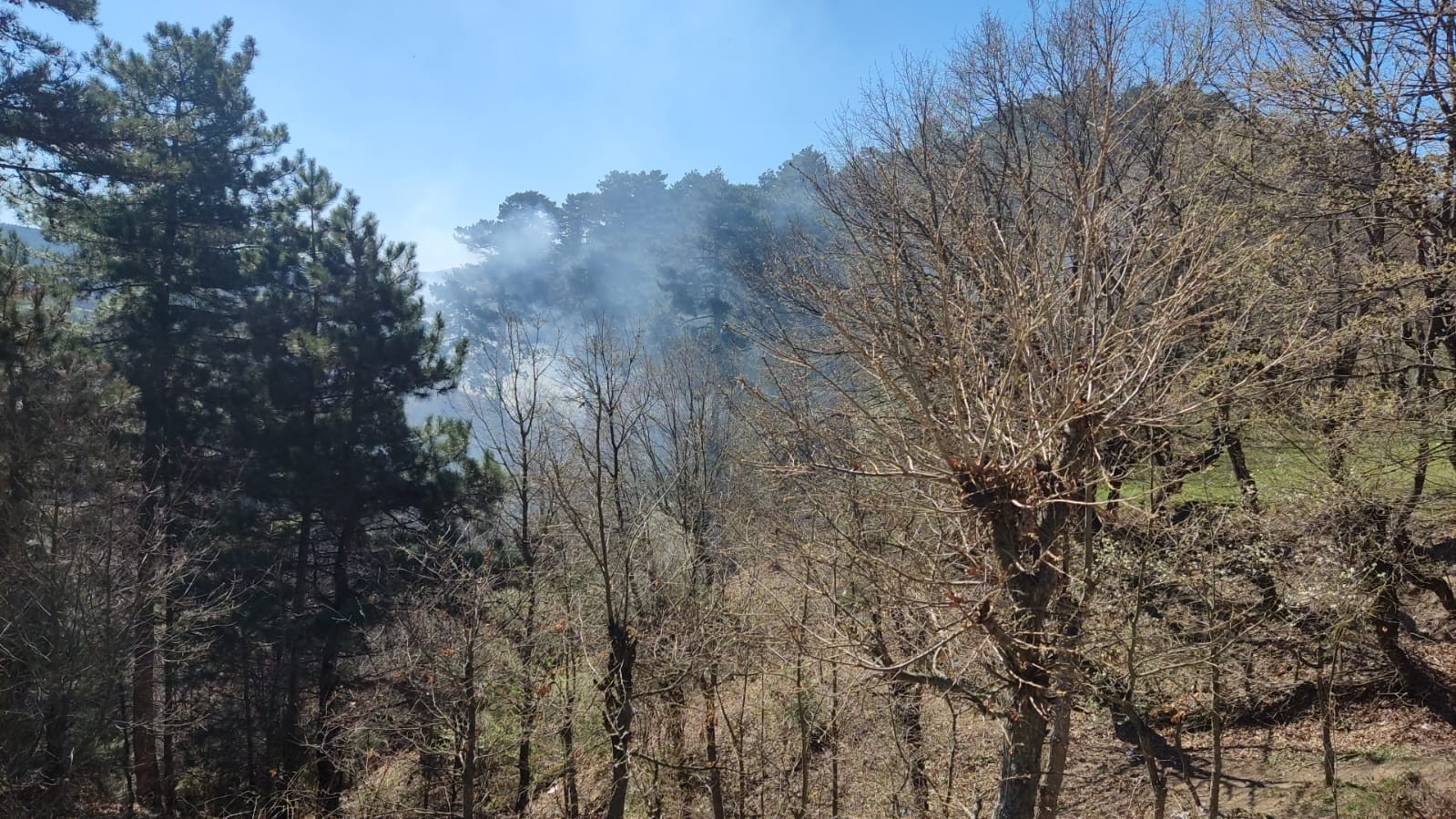 Çanakkale’nin Yenice ilçesine bağlı Karaköy köyü Gedikoba mahallesinde bu sabah saatlerinde çöplük alanda çıkan yangın, ormanlık alana sıçramadan ...