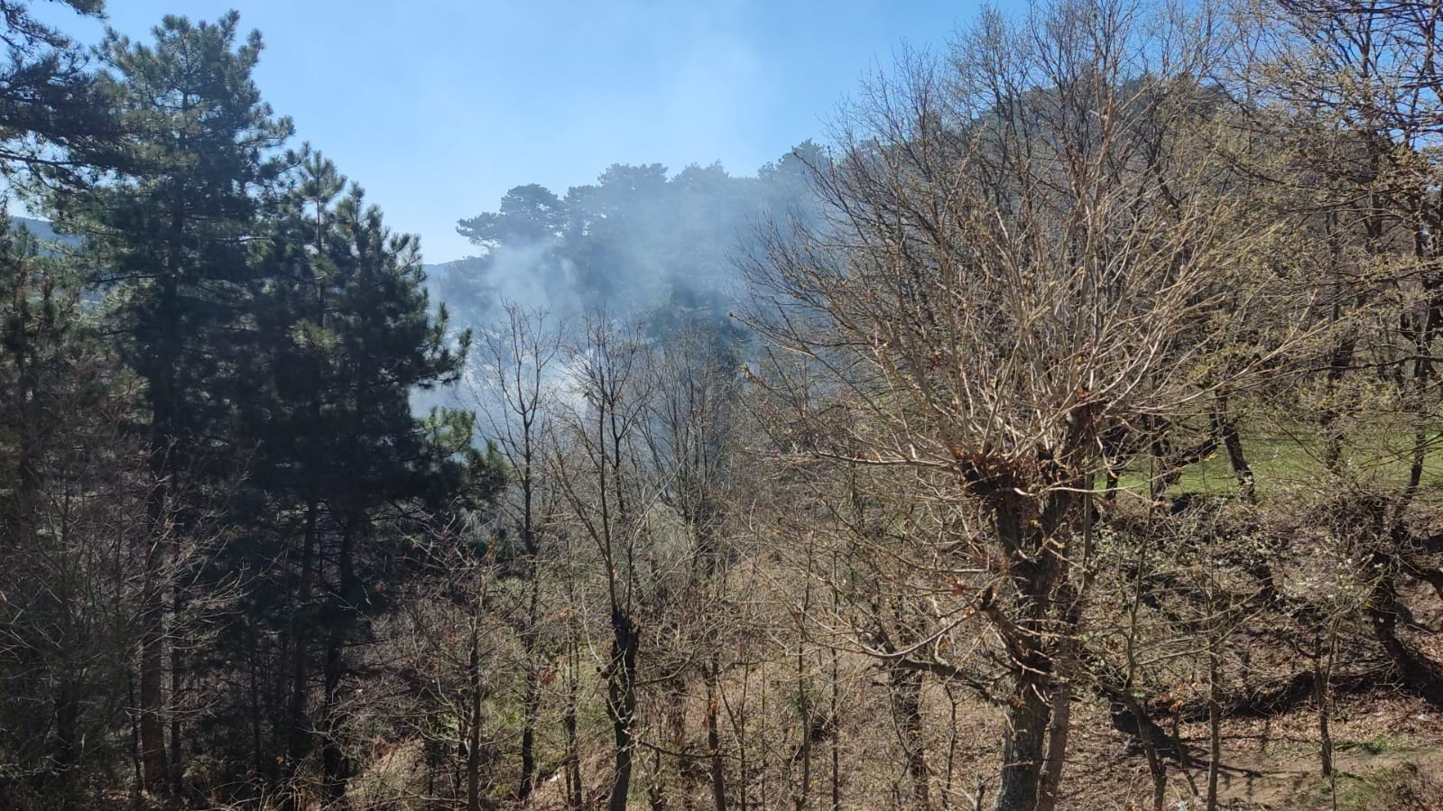 Çanakkale’nin Yenice ilçesine bağlı Karaköy köyü Gedikoba mahallesinde bu sabah saatlerinde çöplük alanda çıkan yangın, ormanlık alana sıçramadan ...