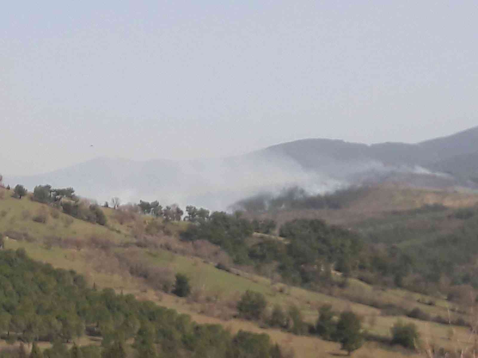 Çanakkale’nin Bayramiç ilçesinde ormanlık alanda yangın çıktı. Bayramiç ilçesi Daoğba köyü yakınındaki ormanlık alanda bugün akşam saatlerinde ...