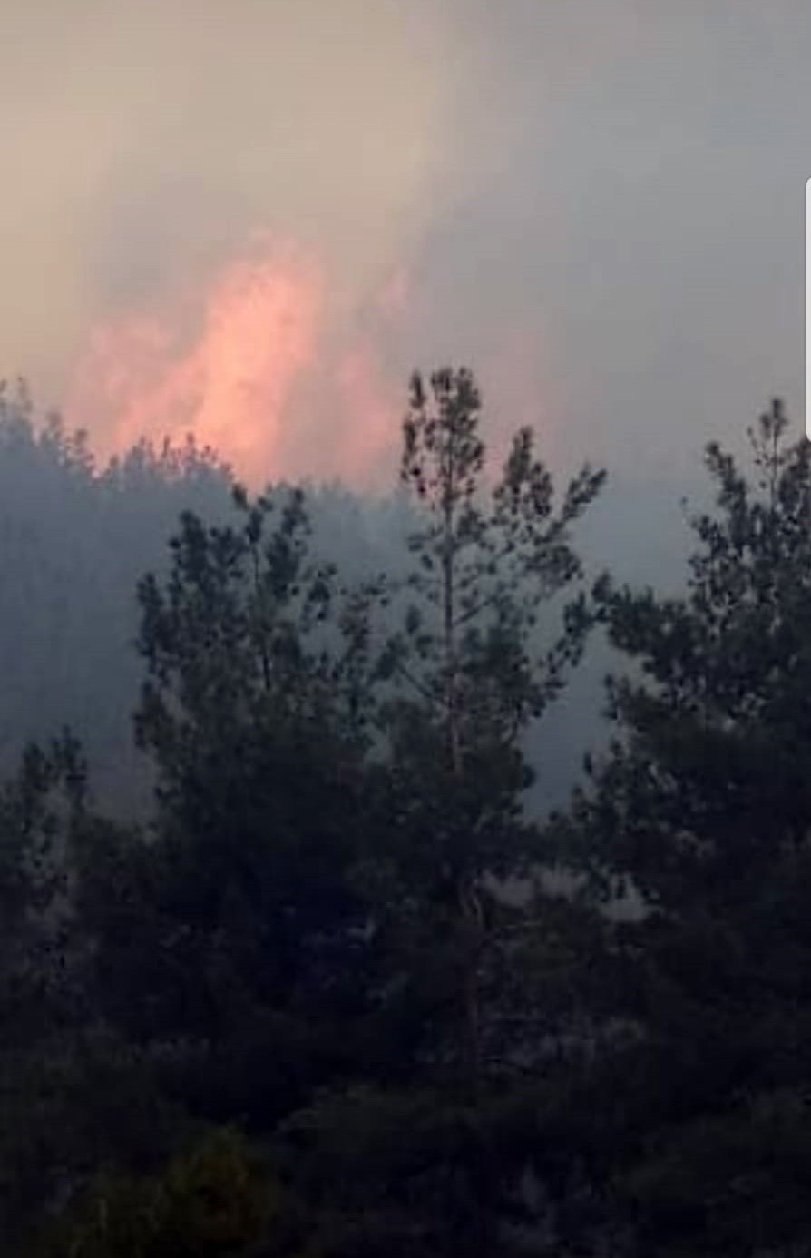 Çanakkale’nin Bayramiç ilçesinde ormanlık alanda yangın çıktı. Bayramiç ilçesi Daoğba köyü yakınındaki ormanlık alanda bugün akşam saatlerinde ...