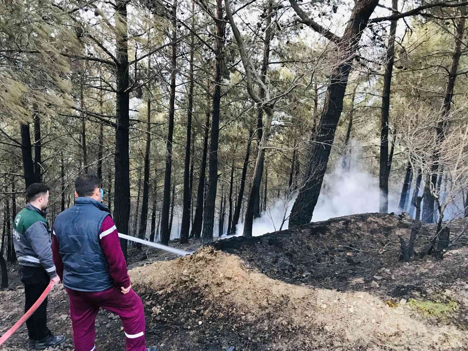 Çanakkale’nin Bayramiç ilçesinde başlayan orman yangını 18 saat sonra kontrol altına alındı. Çanakkale’nin Bayramiç ilçesine bağlı Toluklar ...