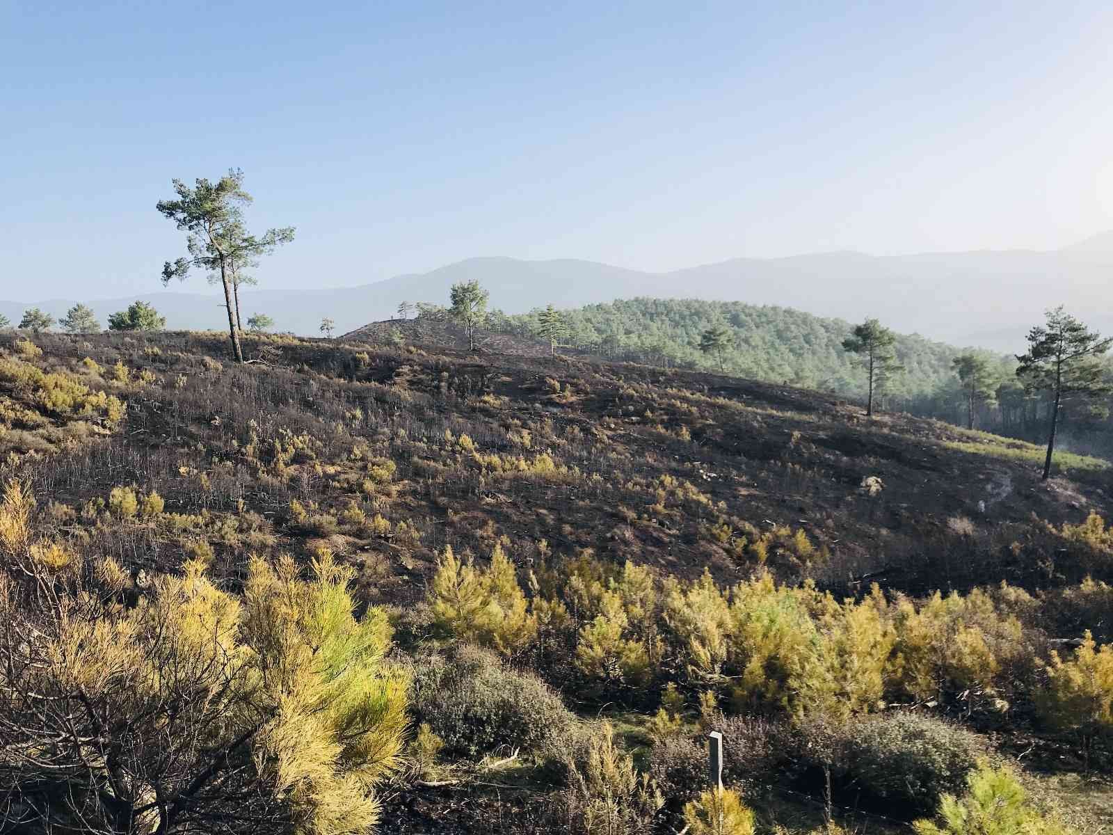 Çanakkale’nin Bayramiç ilçesinde başlayan orman yangını 18 saat sonra kontrol altına alındı. Çanakkale’nin Bayramiç ilçesine bağlı Toluklar ...