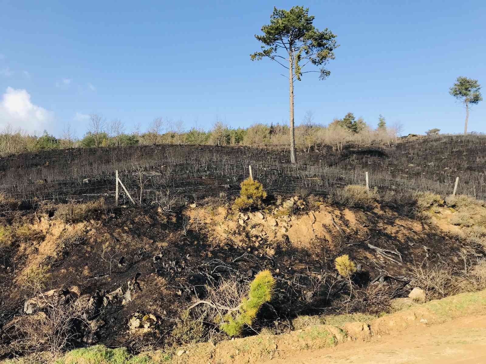 Çanakkale’nin Bayramiç ilçesinde başlayan orman yangını 18 saat sonra kontrol altına alındı. Çanakkale’nin Bayramiç ilçesine bağlı Toluklar ...