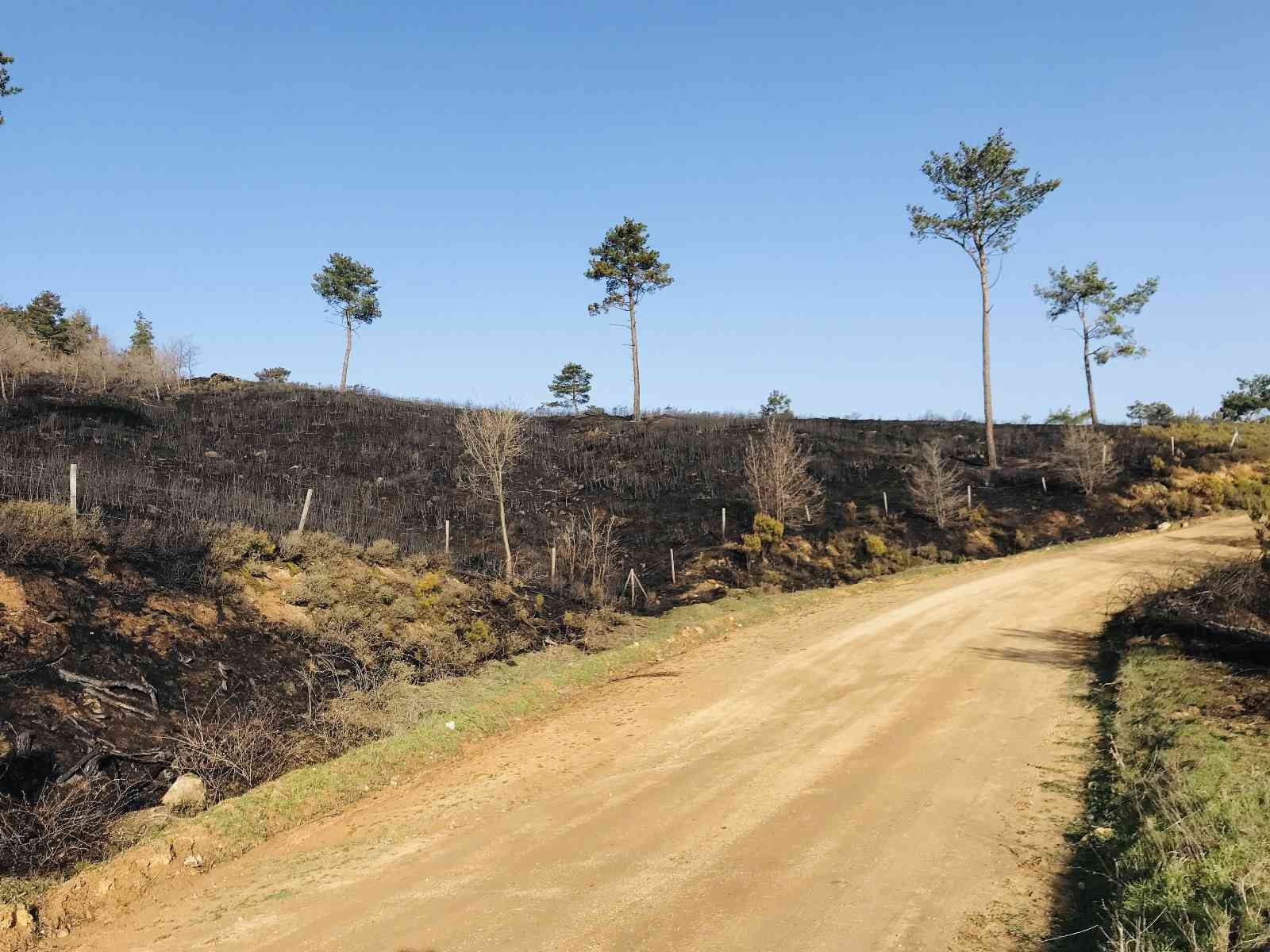 Çanakkale’nin Bayramiç ilçesinde başlayan orman yangını 18 saat sonra kontrol altına alındı. Çanakkale’nin Bayramiç ilçesine bağlı Toluklar ...