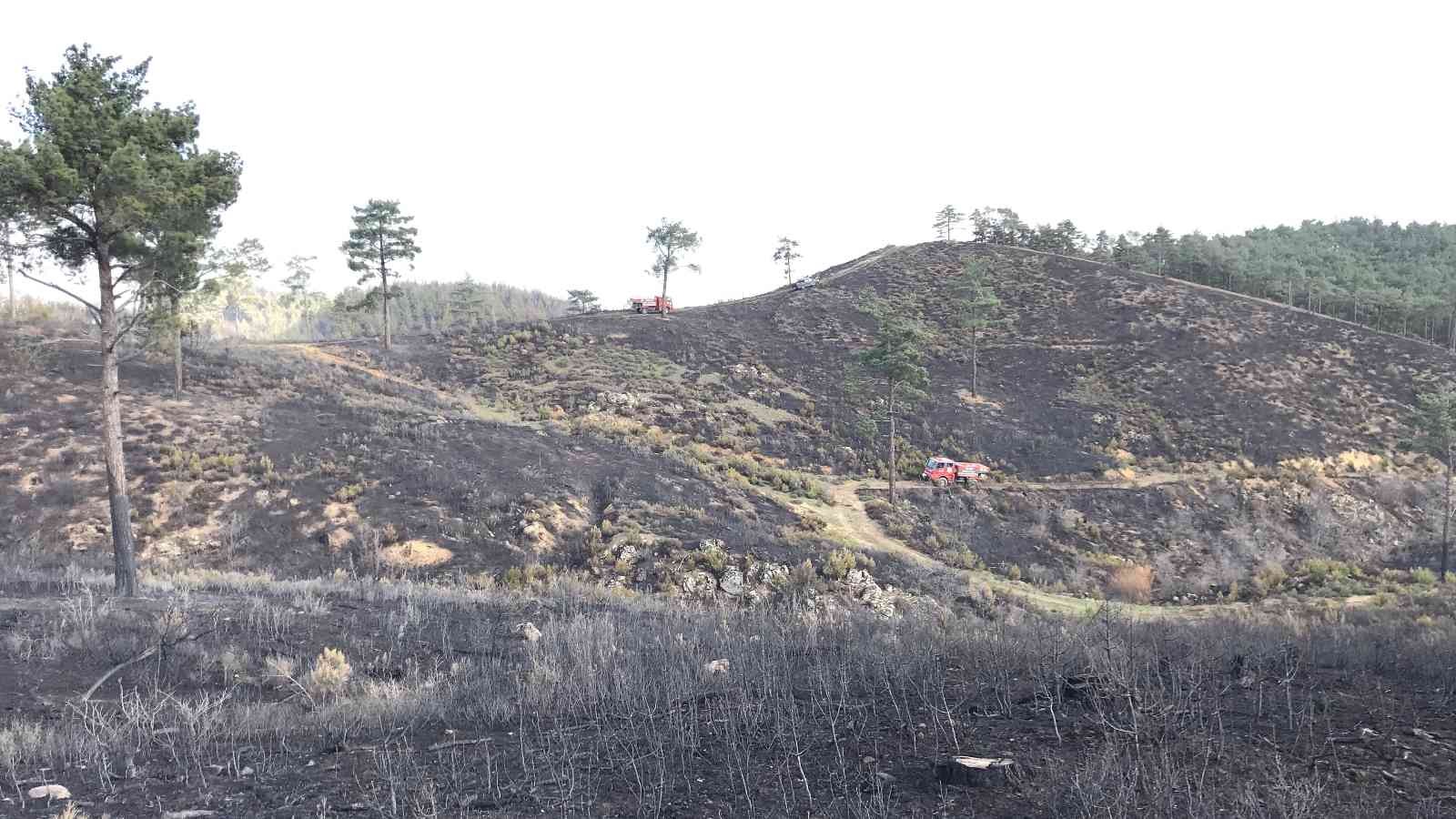 Çanakkale’de tarım arazisinde çıkarak ormanlık alana sıçrayan, daha sonra ise kontrol altına alınan yangında soğutma çalışmalarına başlandı ...