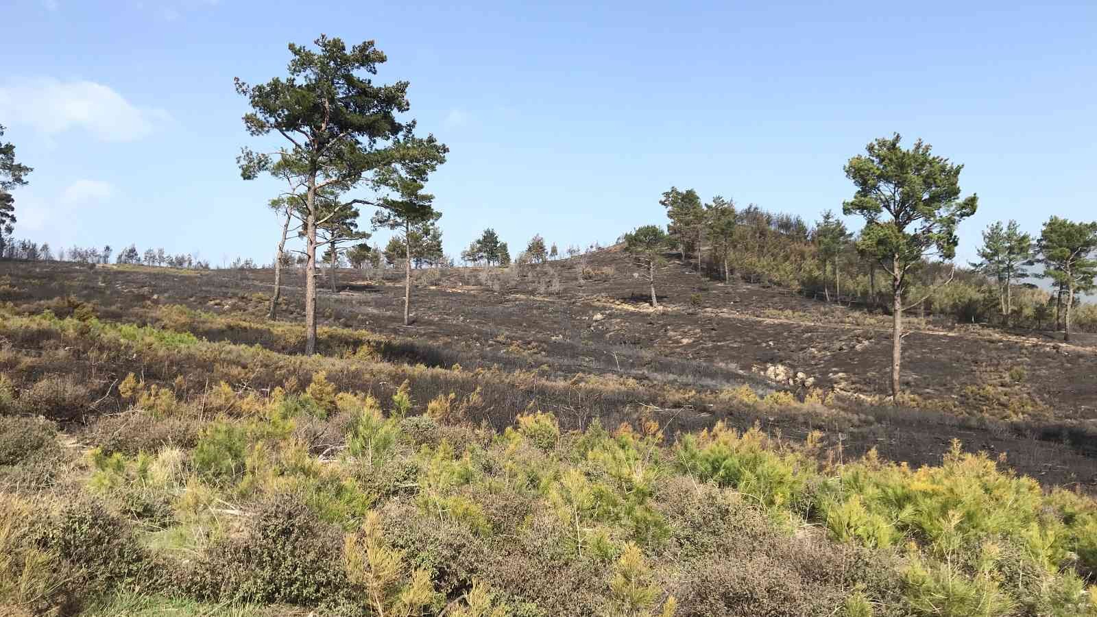 Çanakkale’de tarım arazisinde çıkarak ormanlık alana sıçrayan, daha sonra ise kontrol altına alınan yangında soğutma çalışmalarına başlandı ...