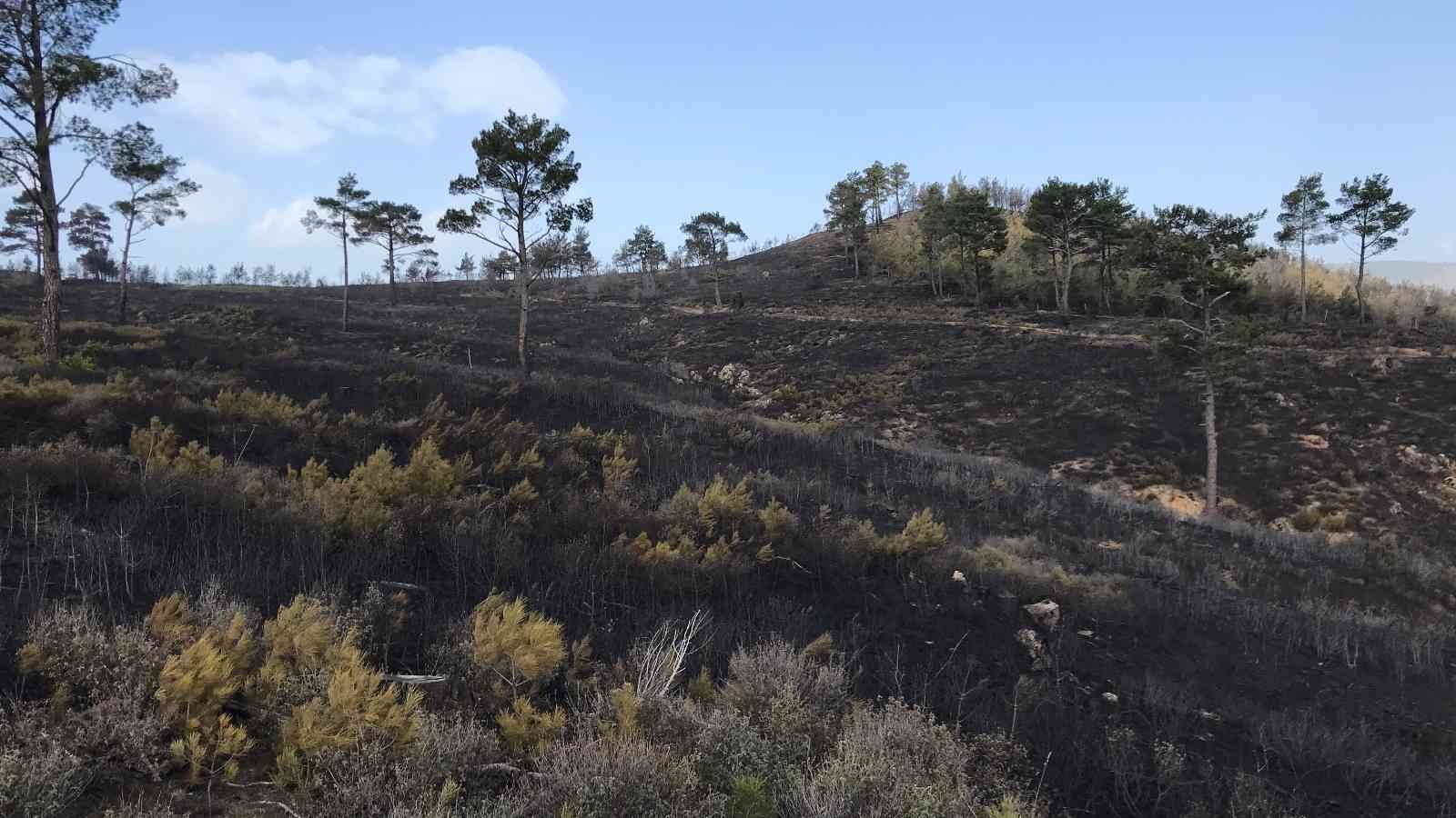 Çanakkale’de tarım arazisinde çıkarak ormanlık alana sıçrayan, daha sonra ise kontrol altına alınan yangında soğutma çalışmalarına başlandı ...