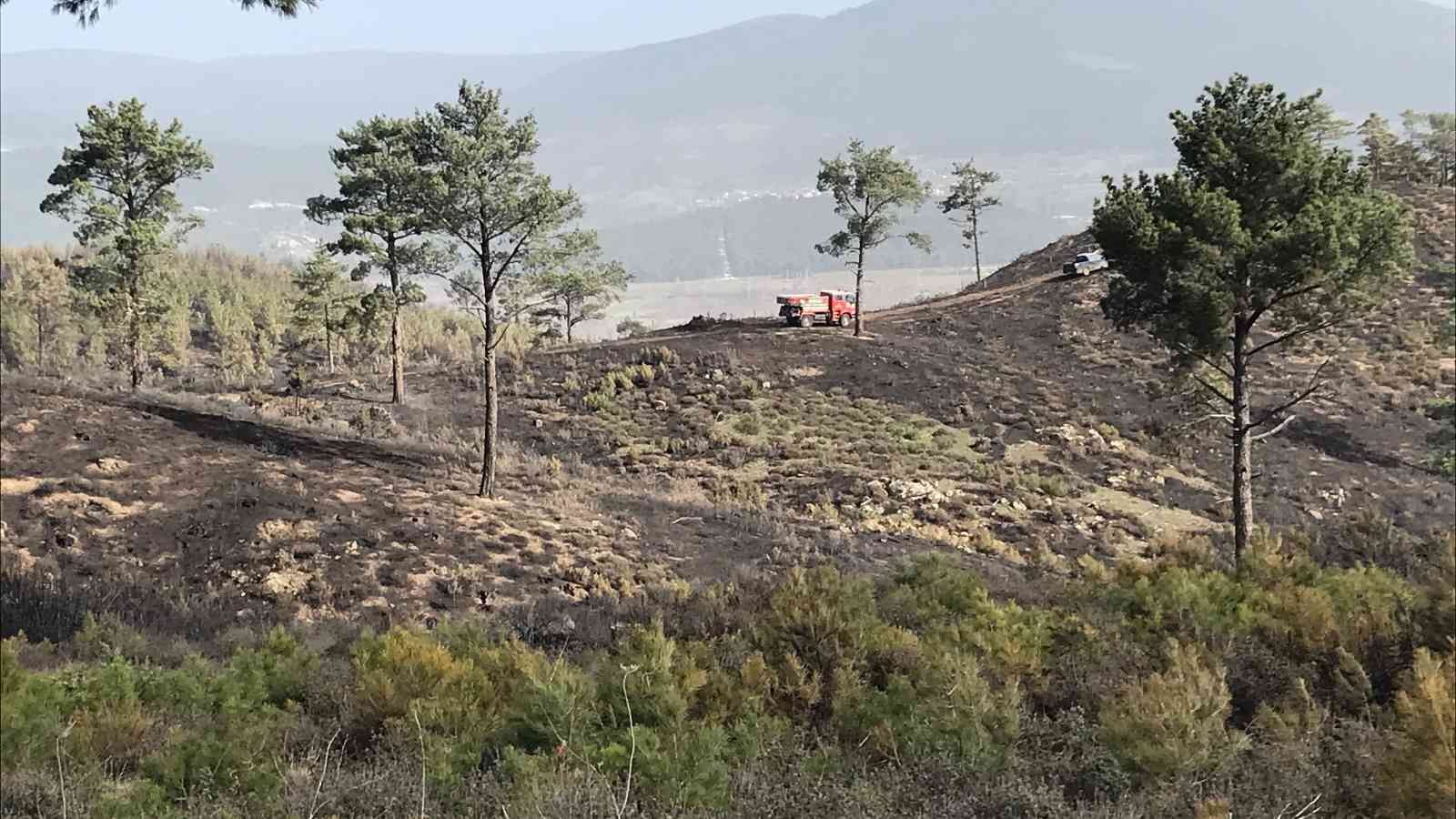 Çanakkale’de tarım arazisinde çıkarak ormanlık alana sıçrayan, daha sonra ise kontrol altına alınan yangında soğutma çalışmalarına başlandı ...