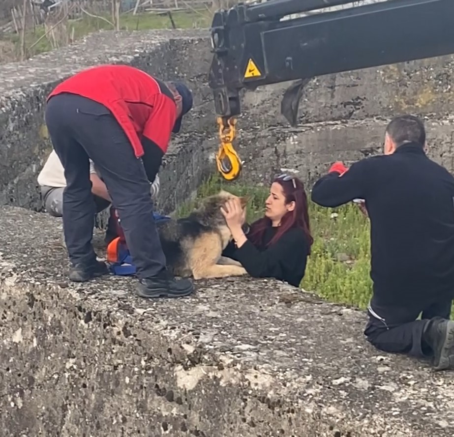 Kocaeli’nin Başiskele ilçesinde köpek derede mahsur kaldı. Bölgeye vinç çağıran itfaiye ekipleri, nefes kesen operasyon ile köpeği kurtardı ...