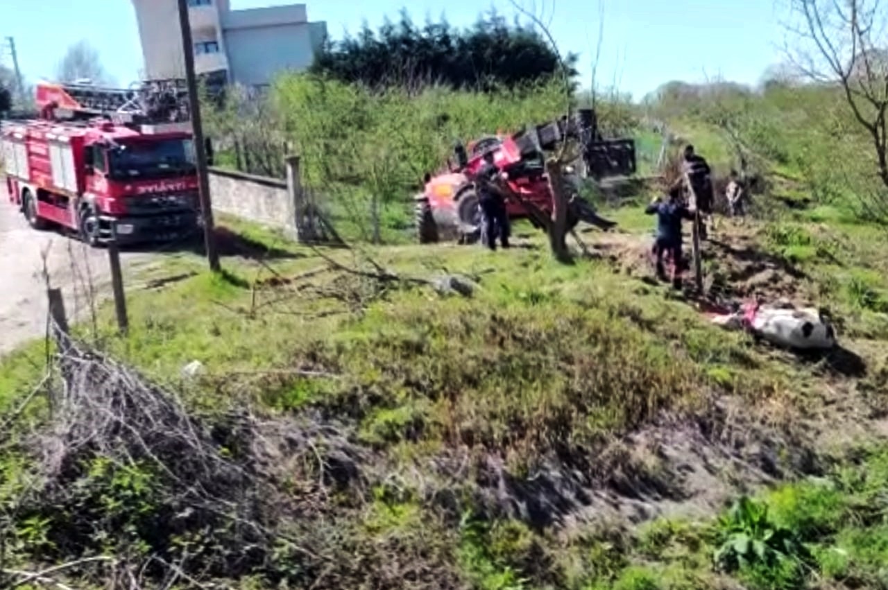 Sakarya’nın Karasu ilçesinde yol kenarında otladığı esnada dere yatağına düşen büyükbaş hayvan, itfaiye ekiplerinin uzun uğraşları neticesinde ...