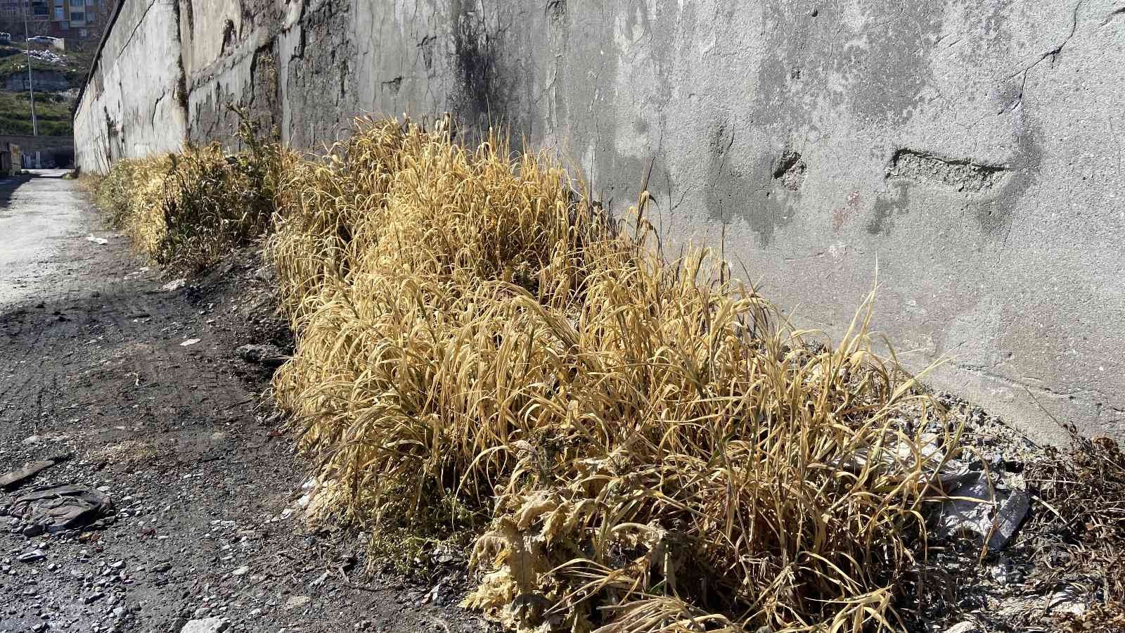 Gaziosmanpaşa’da gece saatlerinde yaşanan olayda kimyasal maddelerin depolama olarak kullanılan alanda bulunan ‘sodyum hipoklorit’ tankında ...