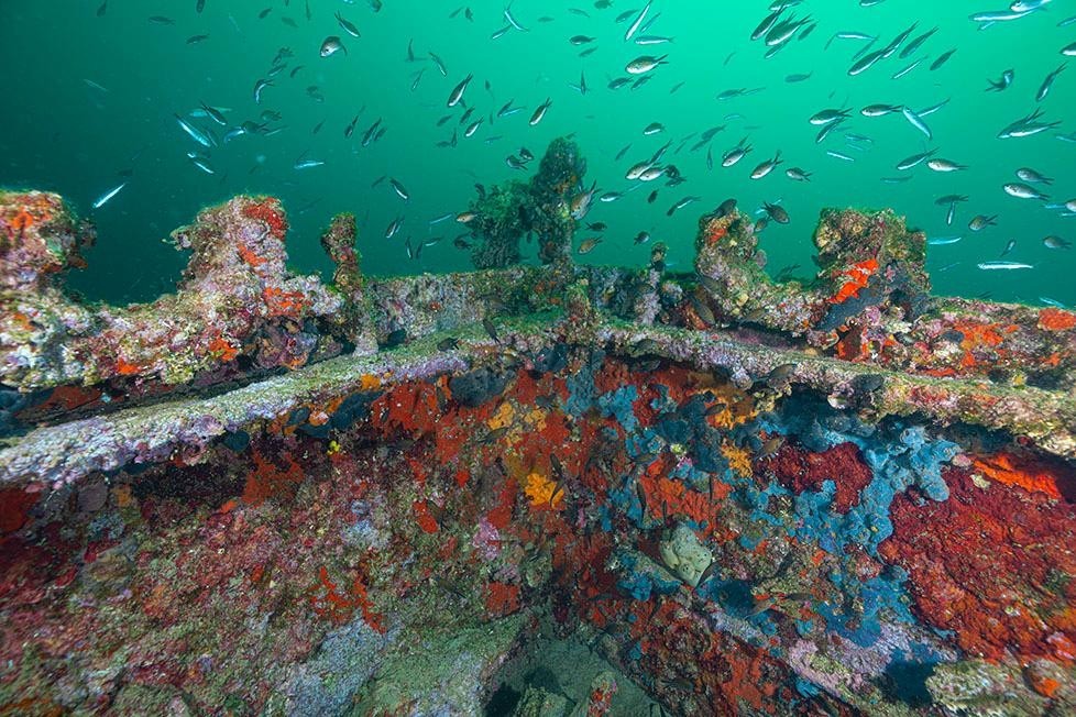 Çanakkale Tarihi Gelibolu Yarımadası’nda 107 yıl önce batırılan İngiliz Kraliyet Zırhlısı ’HMS Majestic ve diğer 14 batık, ‘Gelibolu Tarihi Su ...