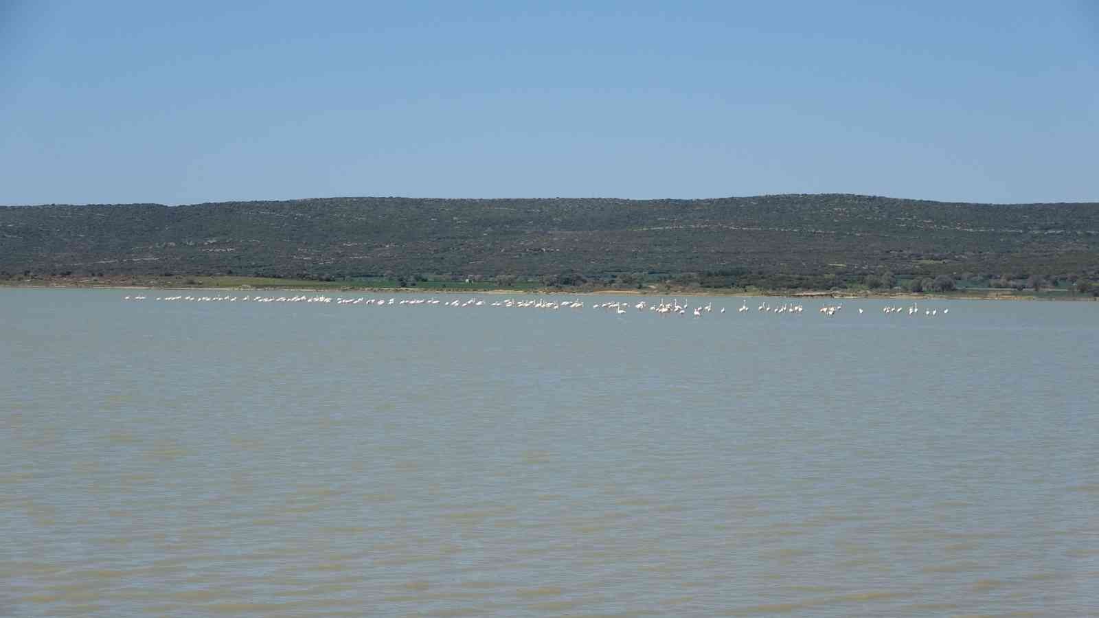 Çanakkale Savaşları’nın yaşandığı Tarihi Gelibolu Yarımadası’ndaki Büyük Anafarta köyü yakınlarında bulunan Suvla Gölü, göçmen kuşların en ...